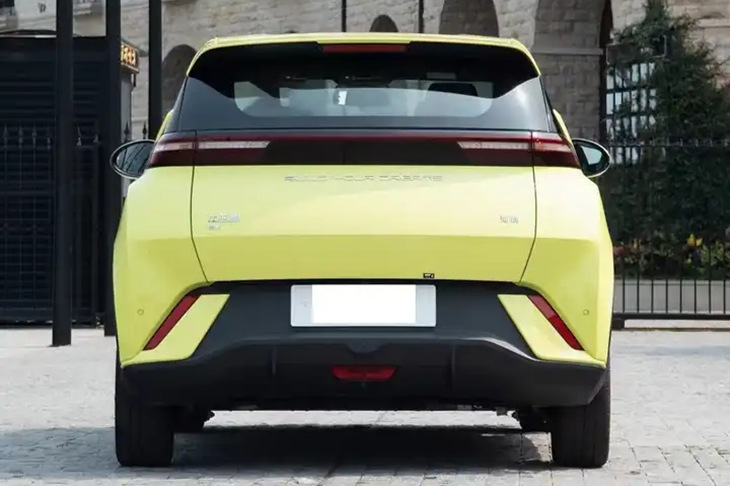 seagull z7.jpg